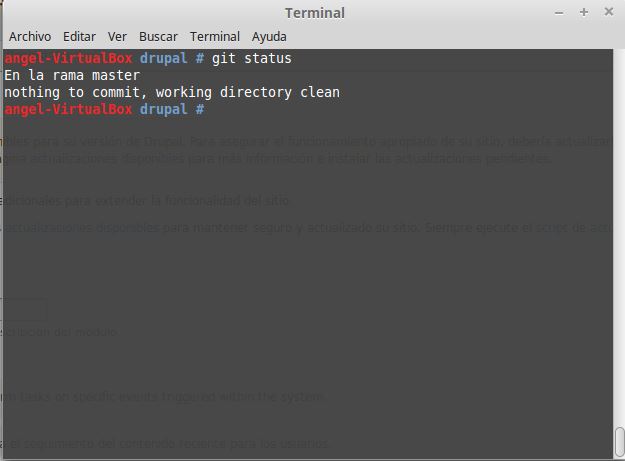 Archivo:Drupal instalacion git 2.jpg