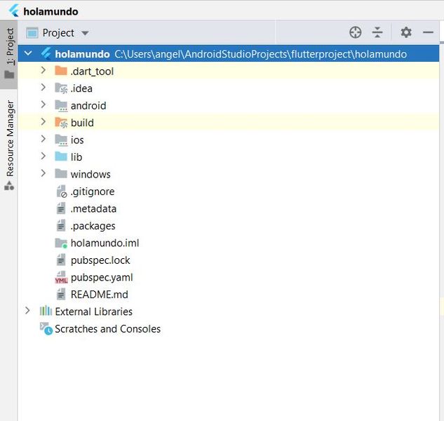 Archivo:Flutter dart proyecto 1.JPG
