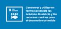 Miniatura de la versión del 18:15 17 ene 2025