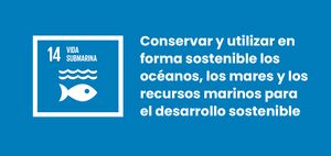 ODS-14-Vida-Submarina.jpg