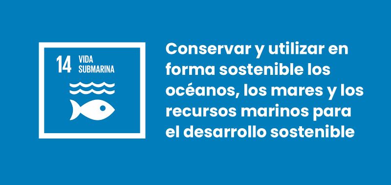 Archivo:ODS-14-Vida-Submarina.jpg
