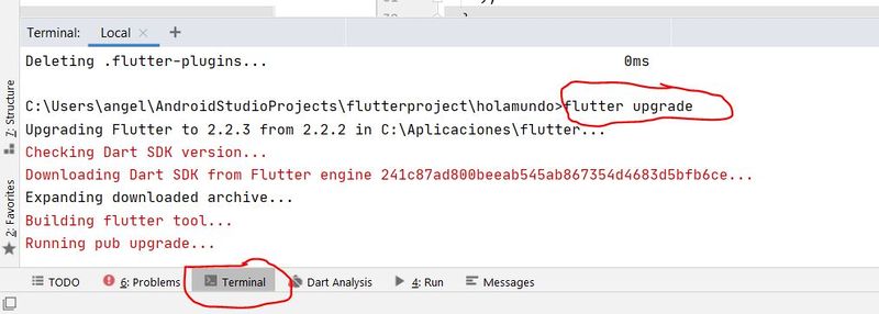 Archivo:Flutter instalacion19.JPG