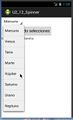 Android 2013 U2 12 Spinner 12.jpg
