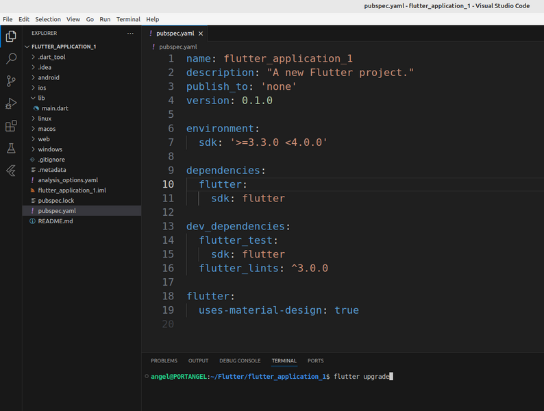 Archivo:Flutter instalacion19 code.jpg