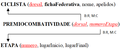 3 2 grafo relacional b.png