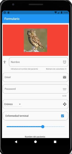 Archivo:Flutter dart formulario 6.JPG