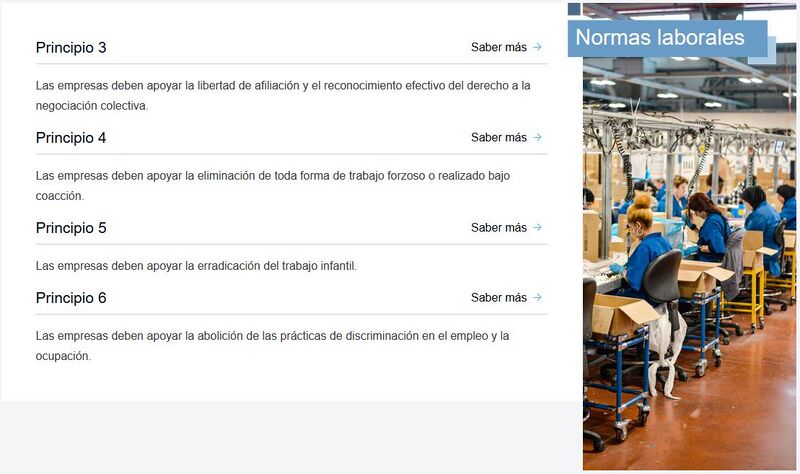Archivo:Principios-Normas-Laborais.JPG
