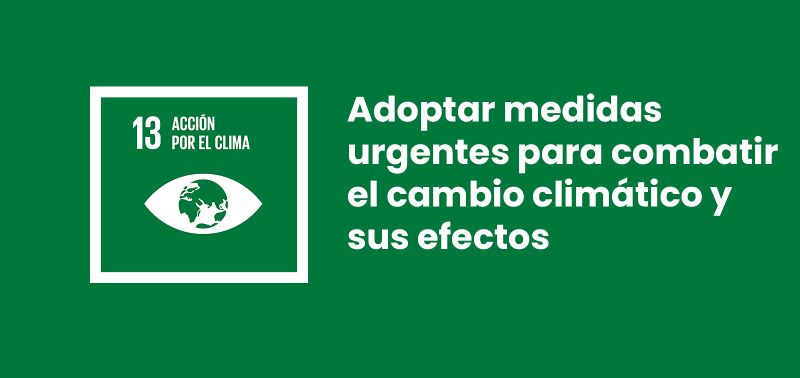 Archivo:ODS-13-Acción-polo-clima.jpg