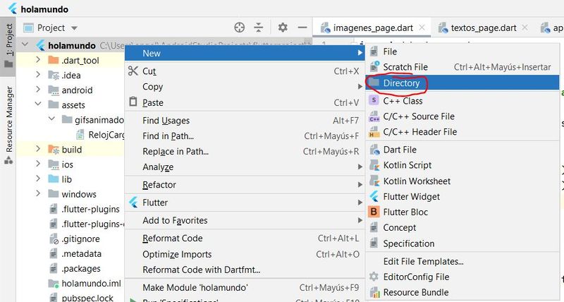 Archivo:Flutter dart widget 21.JPG