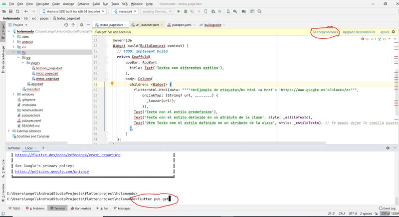Archivo:Flutter instalacion20.JPG