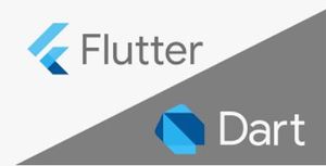 Logo flutter dart.JPG