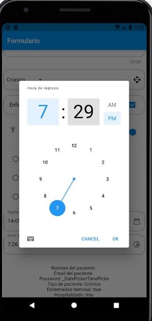 Flutter dart formulario 9.JPG