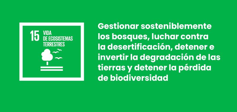 Archivo:ODS-15-Vida-de-ecosistemas-terrestres.jpg