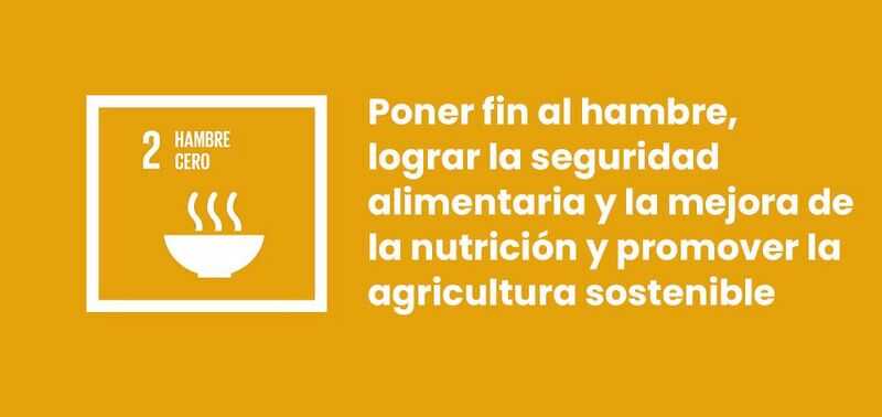Archivo:ODS-2-hambre-cero.jpg