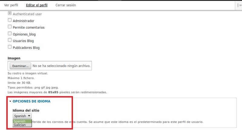 Archivo:Drupal multilinguaxe 8.jpg