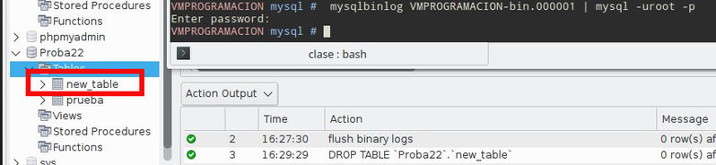 Archivo:Mysql ej log 15.jpg