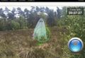 Miniatura de la versión del 00:21 4 dic 2015