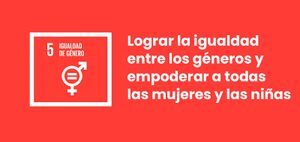 ODS-5-Igualdade-de-xénero.jpg