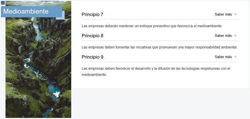 Archivo:Principios-medio-ambiente.JPG