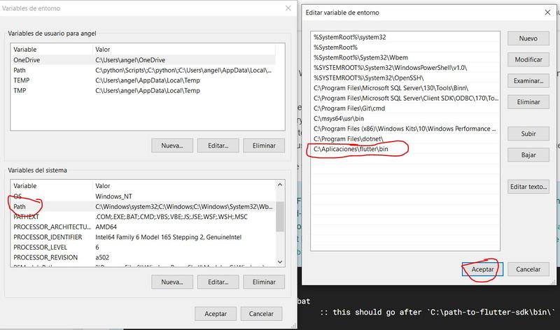 Archivo:Flutter instalacion3.JPG
