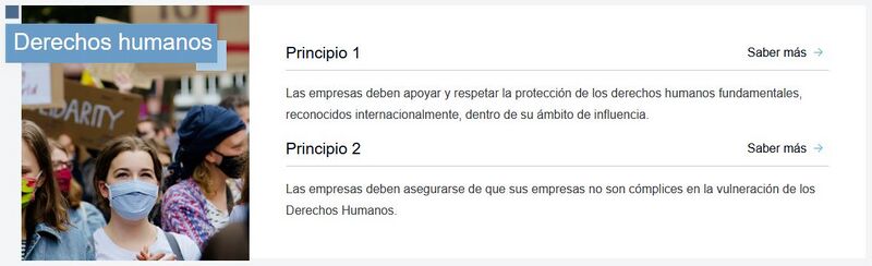 Archivo:Principios-DDHH.JPG